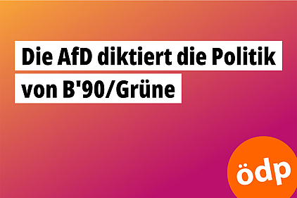 Die AfD diktiert die Politik von B‘90/Grüne